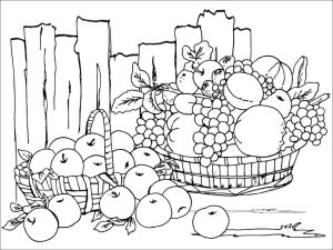 Festival Harvest Colouring Sheet Free coloring pages printable for