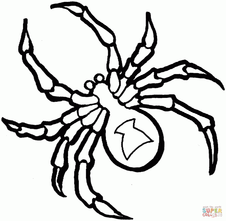 Halloween Coloring Pages Spider