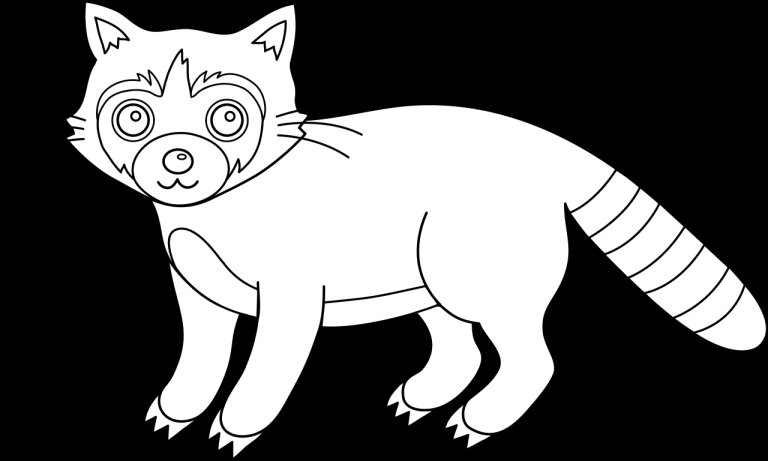 Racoon Coloring Page