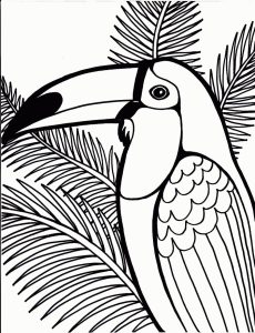 Free Printable Parrot Coloring Pages For Kids Animal Place