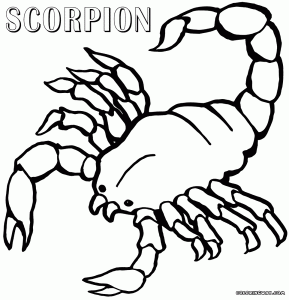 Scorpion coloring pages Coloring pages to download and print