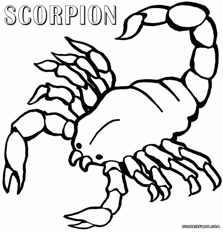 Coloring Pages Scorpion