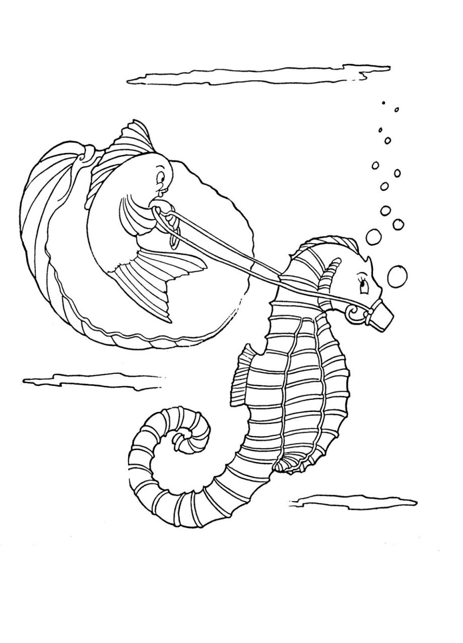 Kids Printable Seahorse Coloring Page The Graphics Fairy