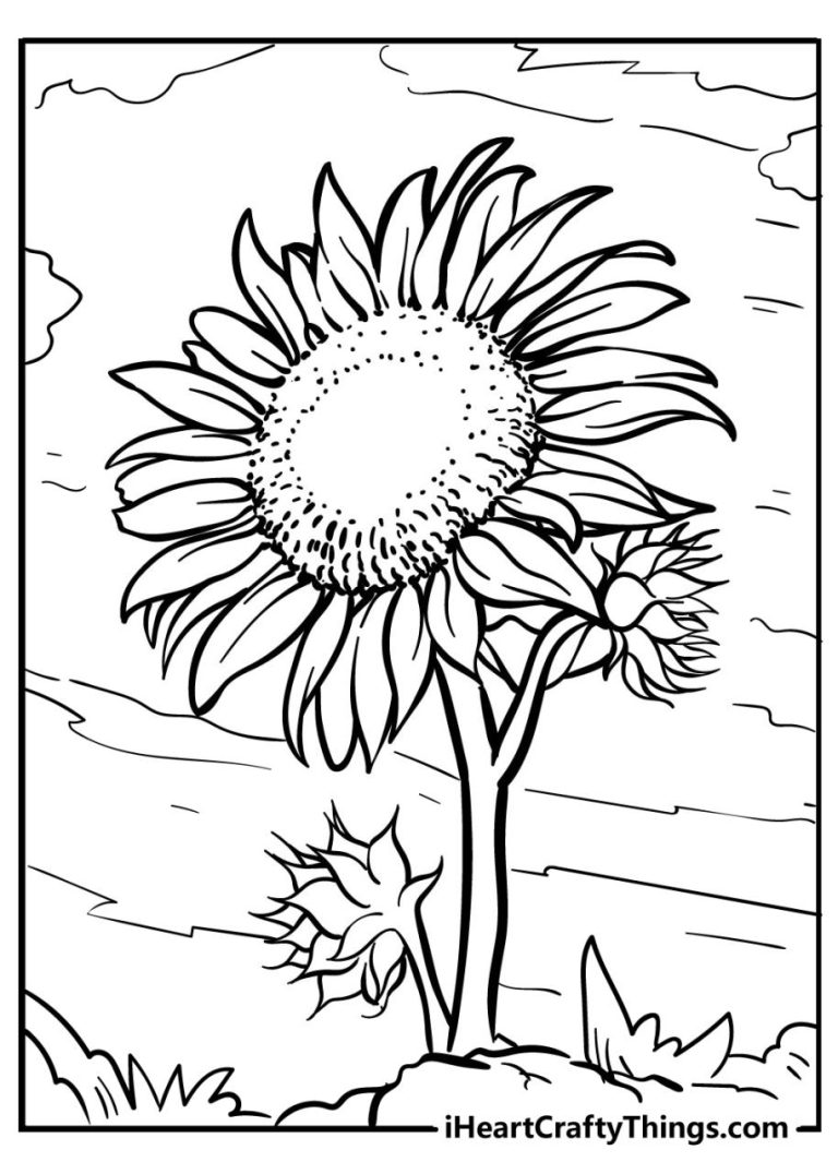 Realistic Sunflower Coloring Page