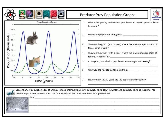 Predator-Prey Relationship Graph Worksheet Answer Key
