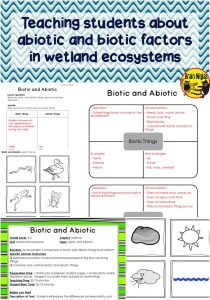 Wetland Ecosystems Grade 5 Science Biotic and Abiotic Factors in
