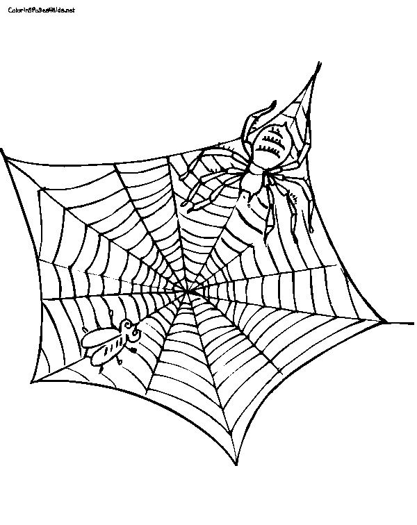 Charlotte's Web Coloring Pages