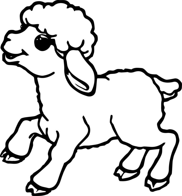 Coloring Pages Of Sheep