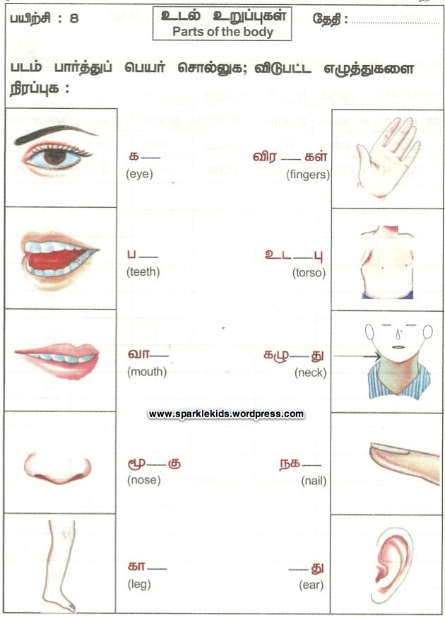 Handwriting Practice 2nd Grade 2 Tamil Worksheets