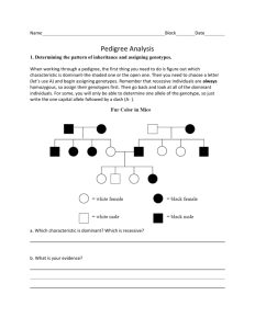 Answer Key Pedigree Worksheet pdf pedigree worksheet Genotype