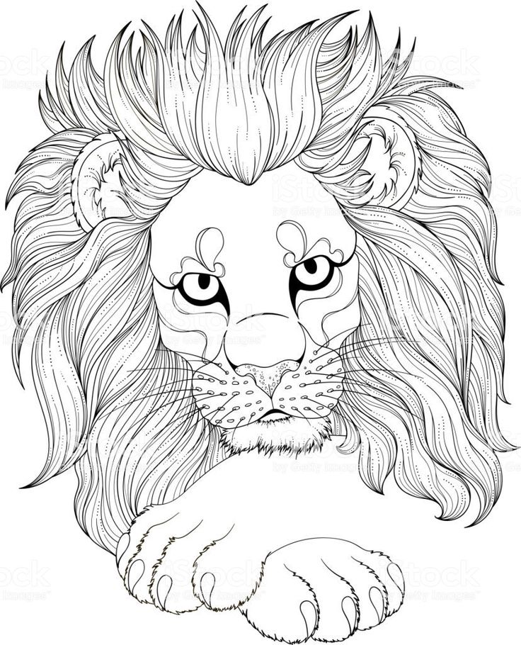 Realistic Lion Coloring Pages