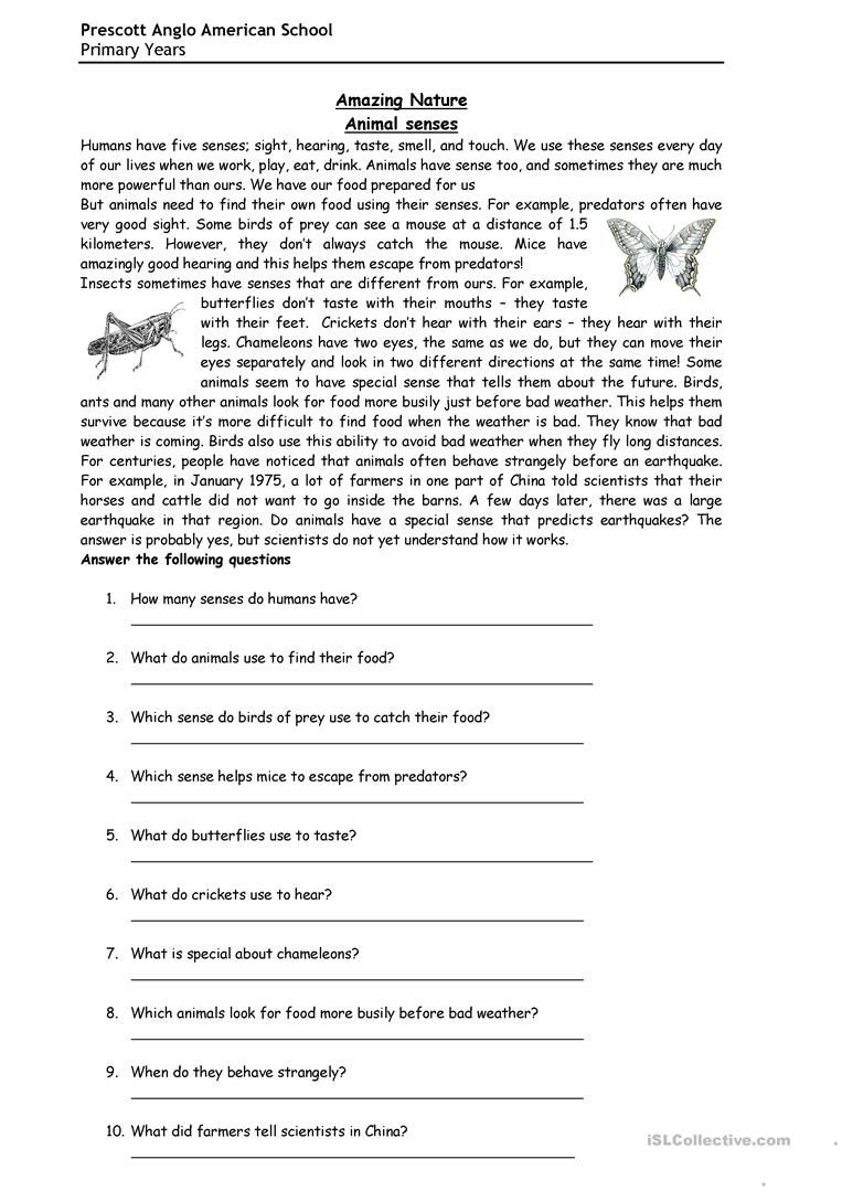 Grade 6 Reading Comprehension Worksheets Pdf Free
