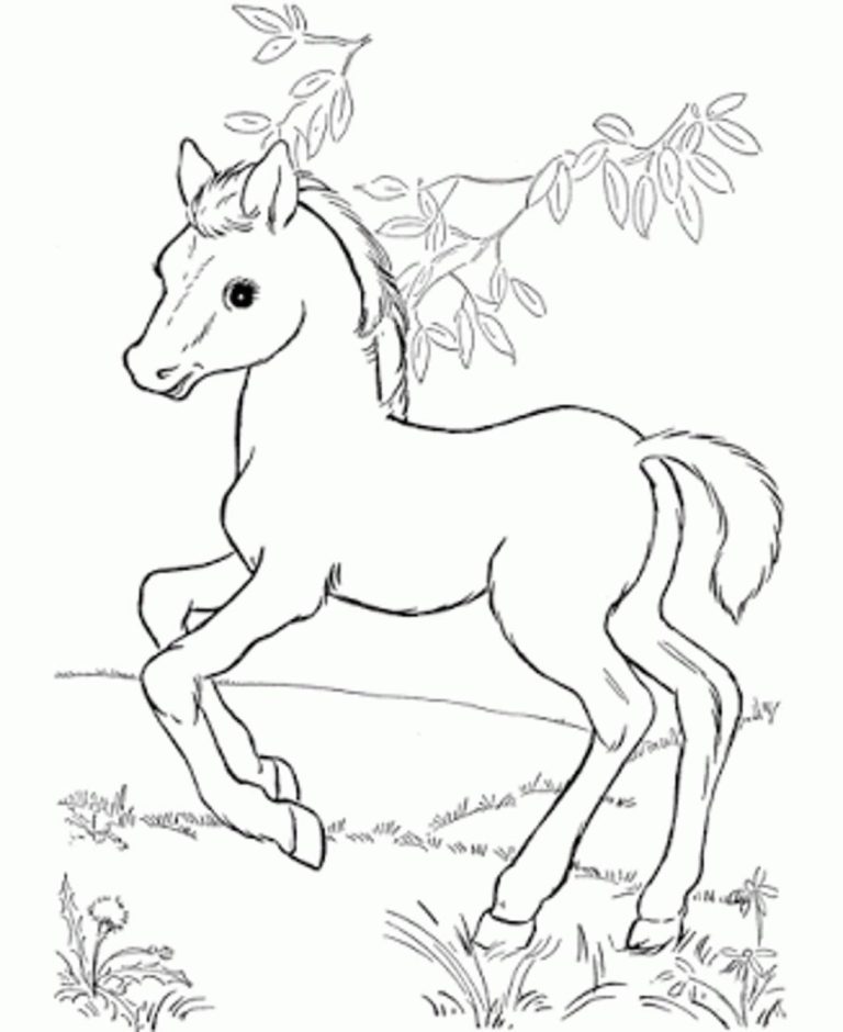 Horse Coloring Pages For Free