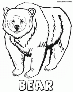 Bear coloring pages Coloring pages to download and print