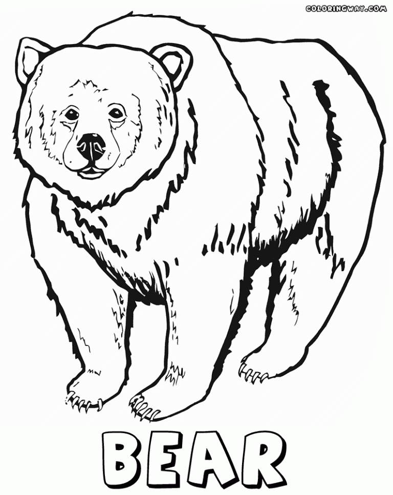 Coloring Page Bears