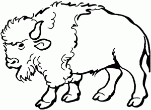 Free Buffalo and Bison Coloring Pages