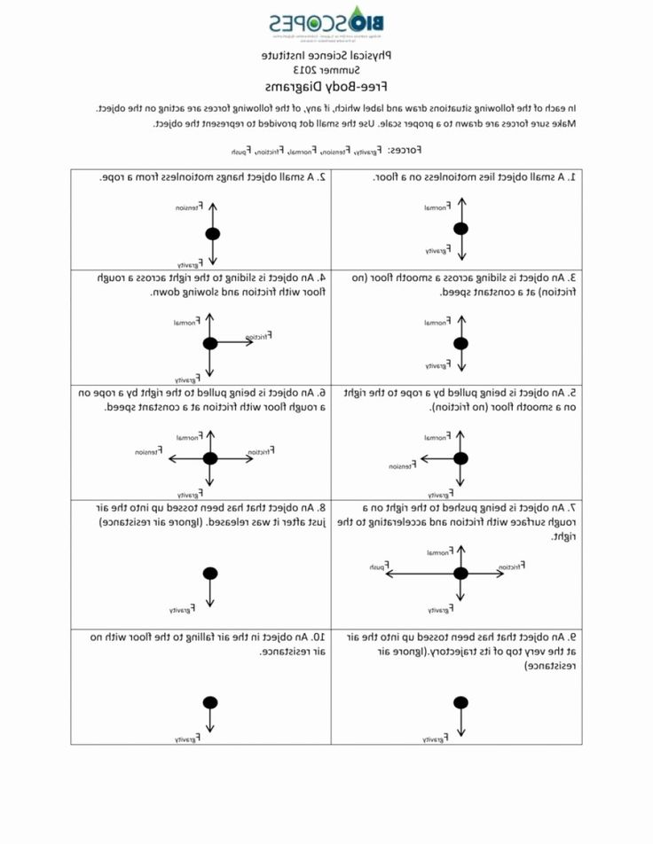 Vector Worksheet Physics Answers Lovely Physics Vector Worksheet Answer