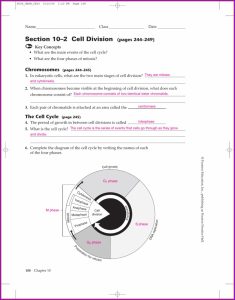 Cell Cycle Regulation Worksheet Answer Key Worksheet Resume Examples