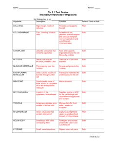 cell activity worksheet