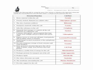 50 Cell organelles Worksheet Answer Key Chessmuseum Template Library