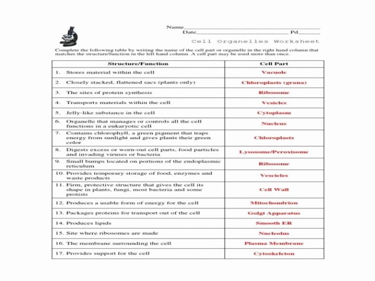 Cells And Organelles Worksheet Answer Key
