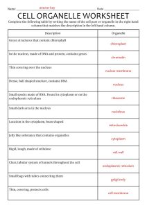 16 Best Images of Cells And Their Organelles Worksheet Cell