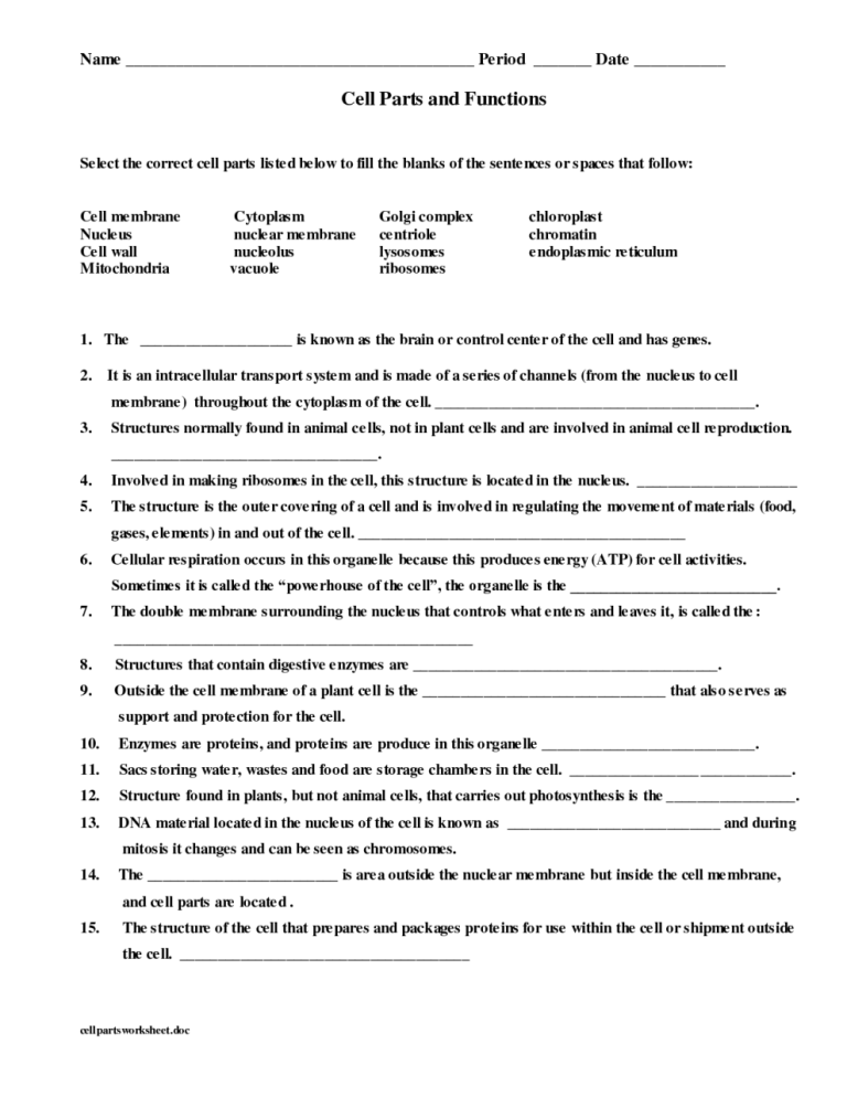 Cell Membrane Structure And Function Worksheet Answer Key