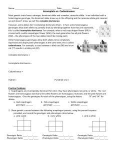 16 Best Images of And Codominance Worksheet Answers