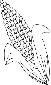Corn Coloring Page at Free printable colorings pages