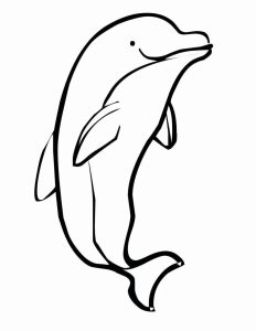 Cute Baby Dolphin Coloring Pages at Free printable