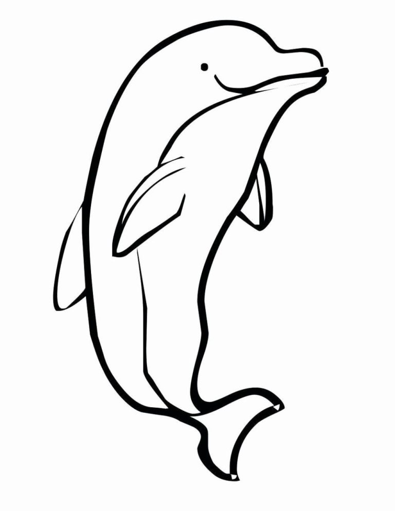 Cute Baby Dolphin Coloring Pages