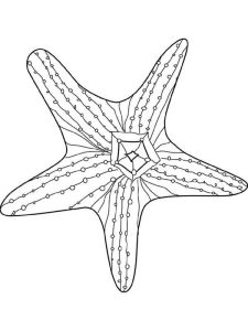 Starfish Coloring Page Coloring Home