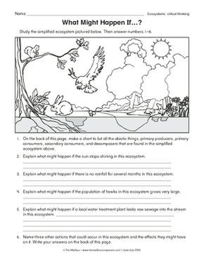Ecosystem Worksheets 5th Grade Pdf
