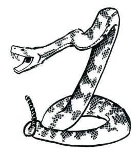 Diamondback Rattlesnake Coloring Page at GetDrawings Free download