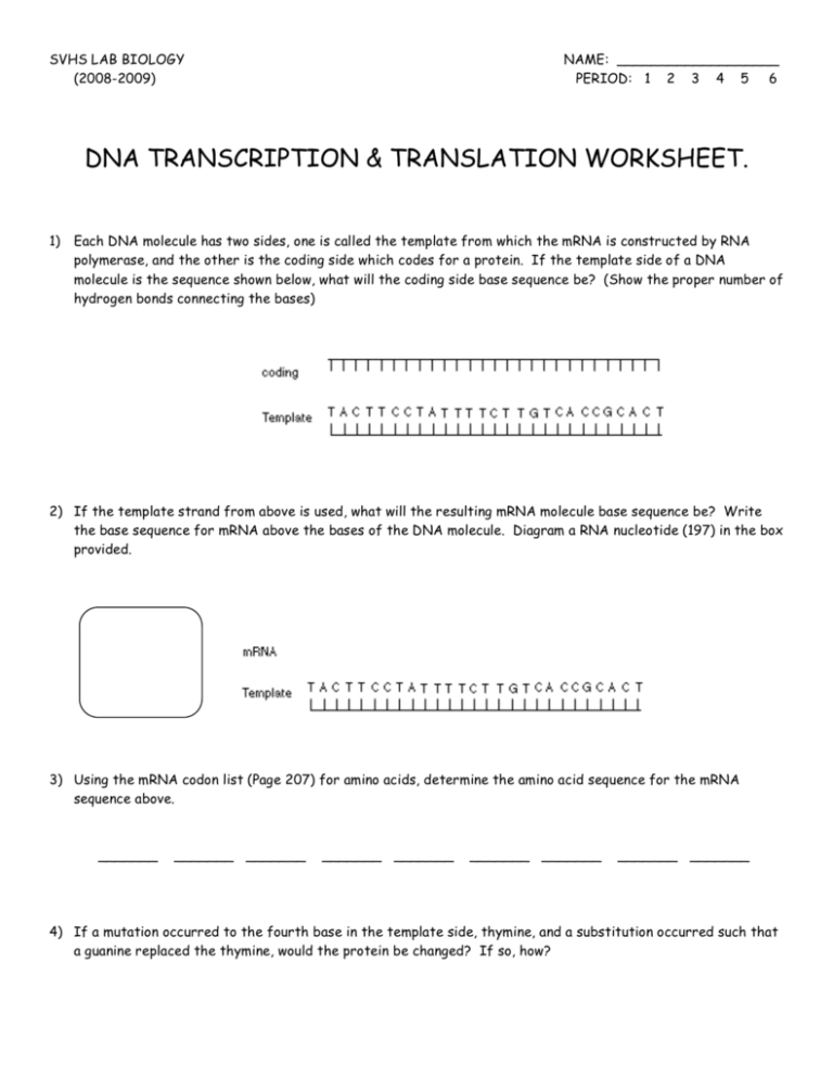 Transcription And Translation Practice Worksheet Answers Key
