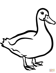 Duck coloring page Free Printable Coloring Pages