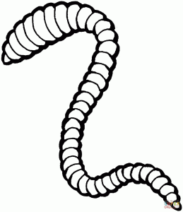 Earthworm coloring page Free Printable Coloring Pages