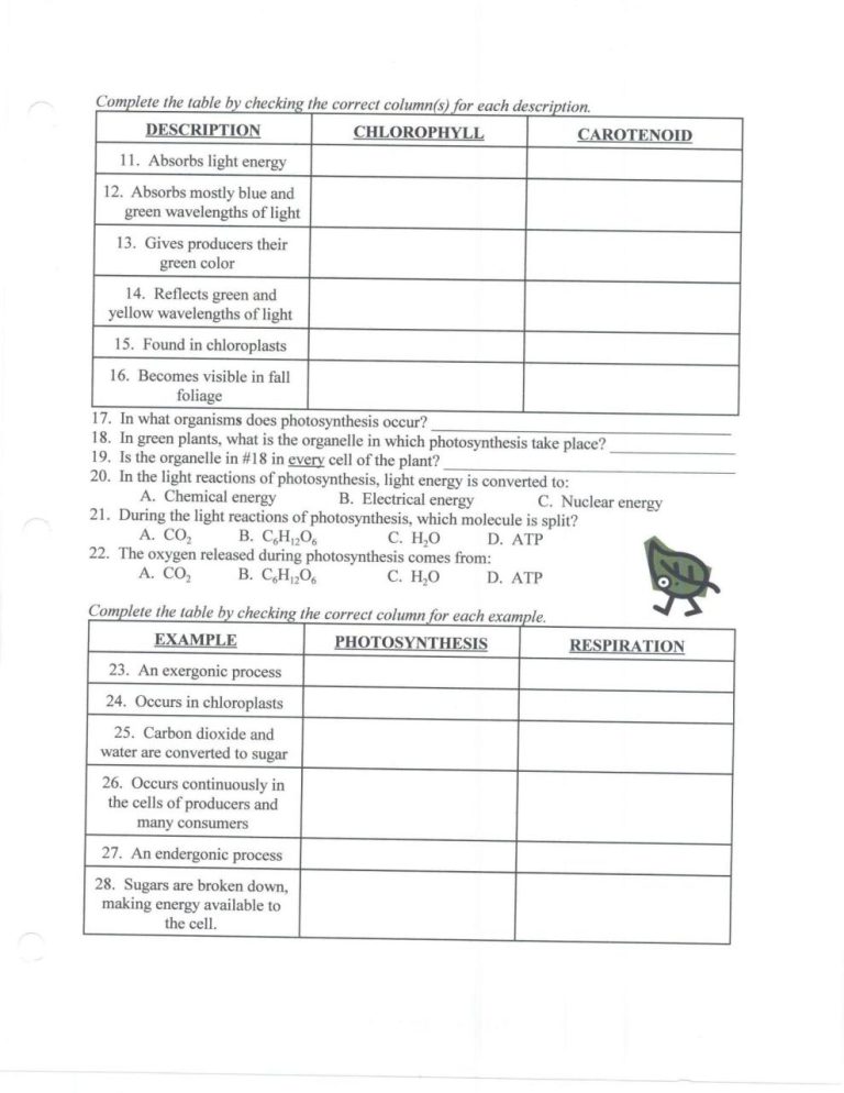 Ecology Review Worksheet 2 Answer Key