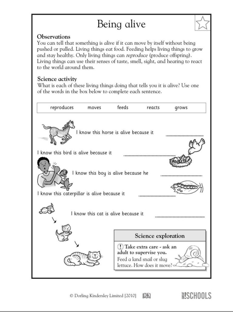 Free Printable 1st Grade Science Worksheets
