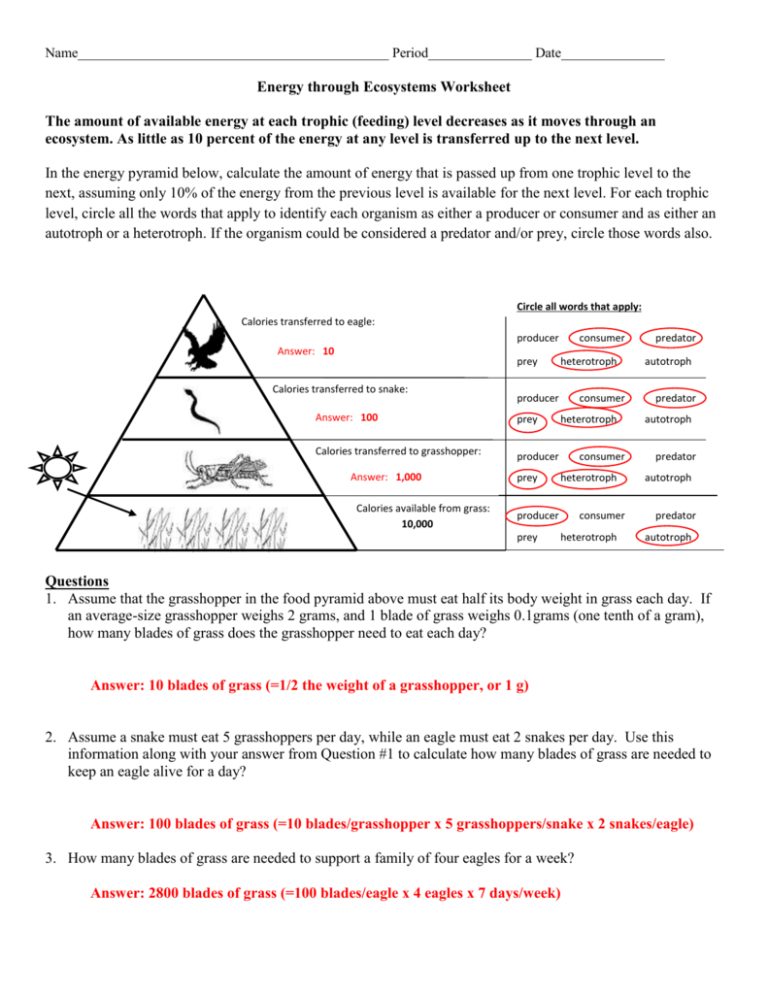 Ecology Review Worksheet Answer Key