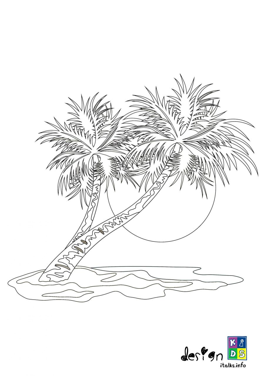 Palm Tree With Sunset Coloring Page in 2020