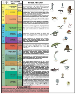 Pin by Linda Smith on 2014 Classroom Geologic time scale, Time