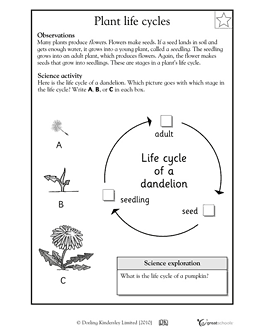 Free Printable 2nd Grade Science Worksheets