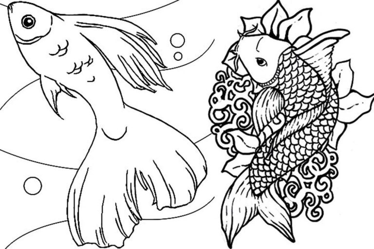 Free Fish Coloring Pages