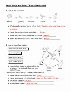 ion worksheet answer key