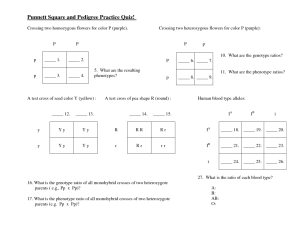 13 Best Images of Square Worksheets With Answers Worksheet