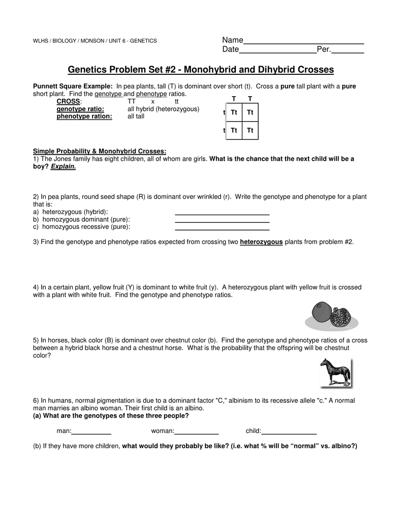 Genotype Practice Worksheet Answer Key