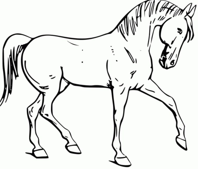 Horses Coloring Pages Printable