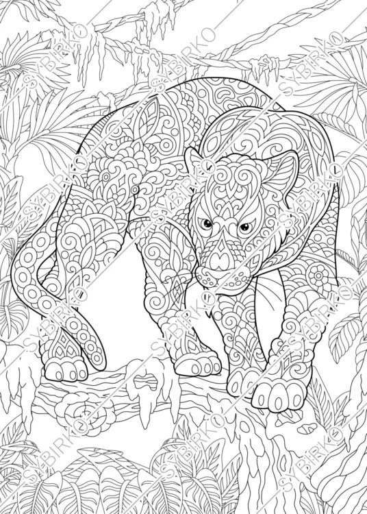 Coloring Pages Panther