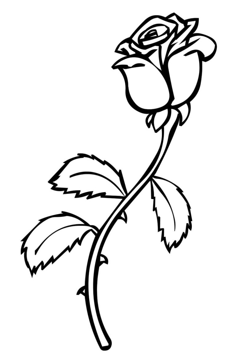 Coloring Page Of Roses